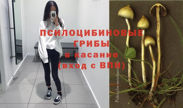 ECSTASY Абдулино