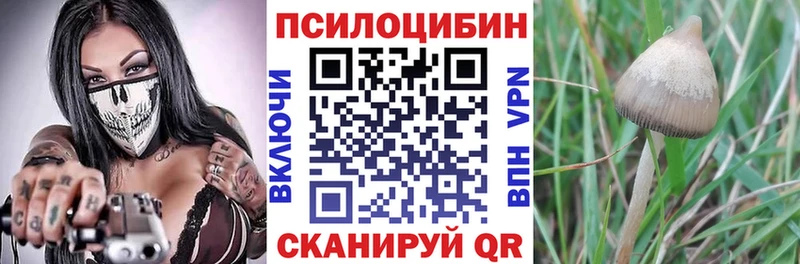 Галлюциногенные грибы MAGIC MUSHROOMS мориарти формула Нариманов купить наркотик